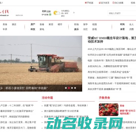 山东在线