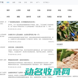 江西黑石地产顾问有限公司